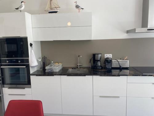 a kitchen with white cabinets and birds perched on the counter at SixTer in La Guérinière