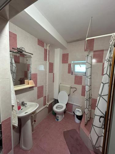a small bathroom with a toilet and a sink at Casa de vacanță Fabian in Vişeu de Jos
