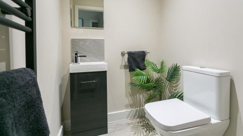 a bathroom with a white toilet and a sink at The Nook in Valley
