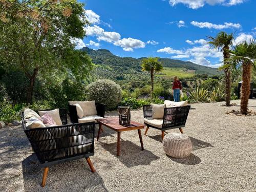 a group of chairs and a coffee table on a patio at Hacienda el Tarajal in Priego de Córdoba