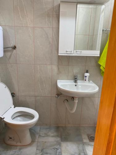 a bathroom with a toilet and a sink at Apartmani Jelica FREE PARKING in Vranje