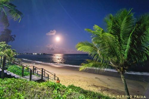 a palm tree on the beach at night at Pousada e Hostel Maria Bonita in Paripueira