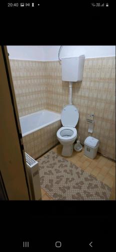 a bathroom with a toilet and a bath tub at Jelena in Nova Varoš