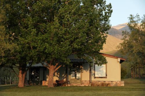 a house with a tree in front of it at Estancia Palma in Tupungato