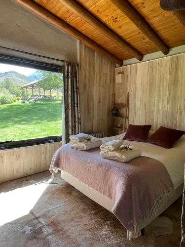 a bedroom with a bed with a large window at Estancia Palma in Tupungato