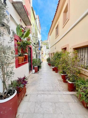 Apartamento en casco antiguo de Alicante