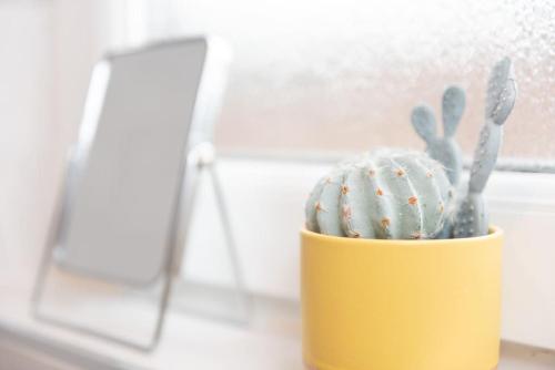 a cactus in a yellow pot next to a chair at Excellent, comfortable location to visit Belfast in Holywood