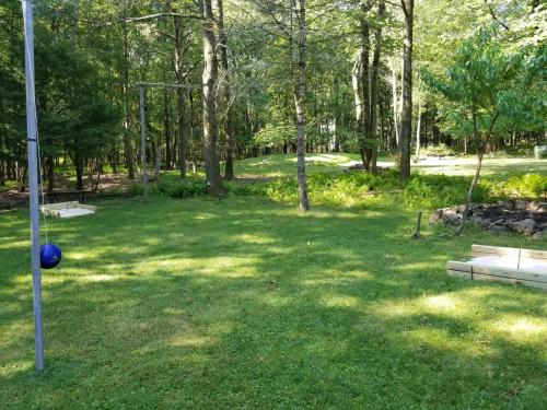 a yard with a blue ball in the grass at Serenity and Fun all in one in this Cozy Pocono Cabin in Jim Thorpe