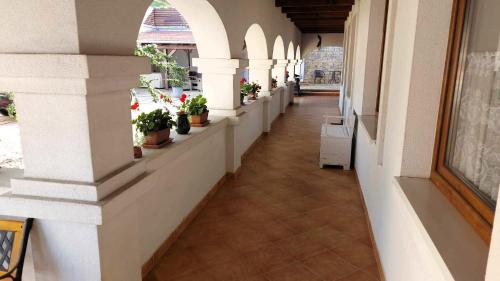 Fehér Galamb Vendégház