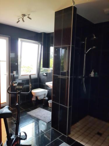 a black bathroom with a shower and a toilet at Über den Dächern von Flensburg in Flensburg