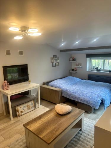 Maison en pierre, 3 chambres à 15 mn du centre de Menton et des plages في سان أجنيس: غرفة نوم مع سرير وتلفزيون بشاشة مسطحة