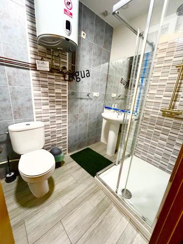 a bathroom with a toilet and a shower and a sink at Travelers Rest in Pamplona