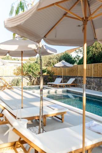 Luxurious Villa Ksenia with Pool Murterの敷地内または近くにあるプール