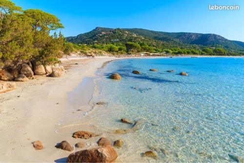 Corse du sud Fiori di cala rossa T2 rez de jardin dans résidence piscine