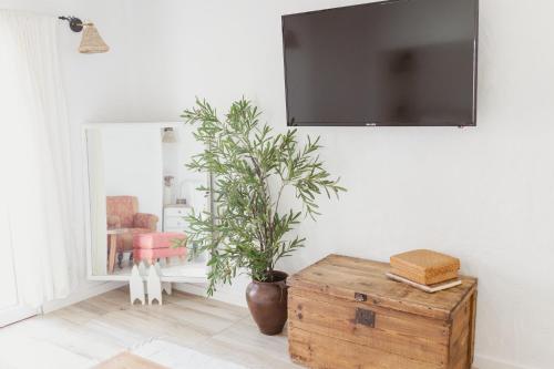 a living room with a potted plant and a tv at Casa Vó Briata in Mértola