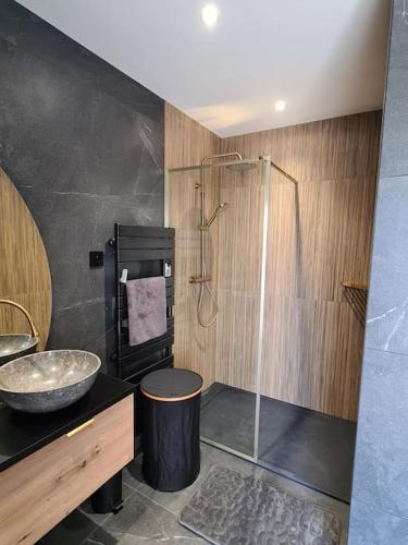 une salle de bain avec un lavabo et une douche en verre dans l'établissement Villa Écrin Du Lac, à Mesnil-Saint-Père