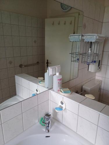 a bathroom with a sink and a mirror at Ferienwohnung Marienberg in Nordstemmen