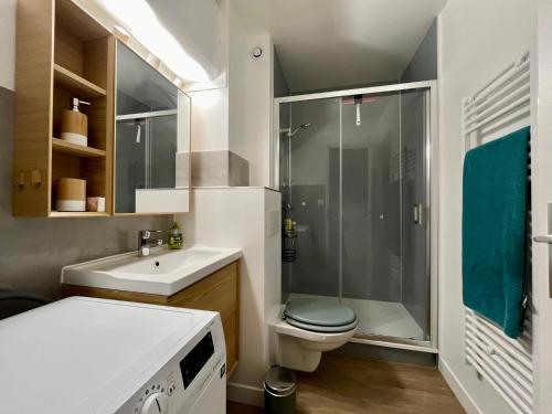 une salle de bain avec une douche, des toilettes et un lavabo dans l'établissement T2 avec Parking - Centre station - SUPER BESSE, à Besse-et-Saint-Anastaise