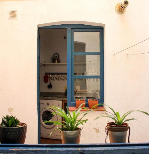a kitchen with a window and two potted plants at El 8 de Serranos - Bajo - Casa con garaje in León