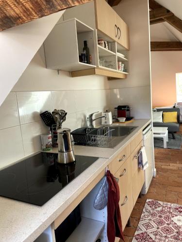 une cuisine avec un évier et un plan de travail dans l'établissement Studio Hyper-Centre Villa Isabelle, à Allevard