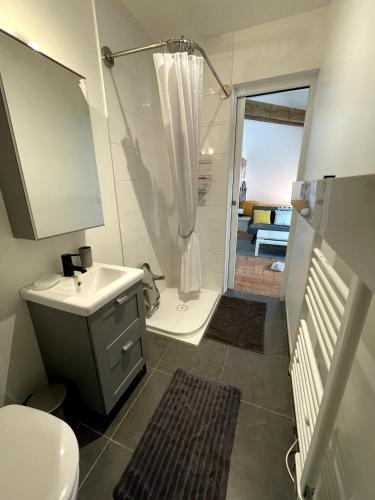 une salle de bain avec un lavabo, des toilettes et une douche dans l'établissement Studio Hyper-Centre Villa Isabelle, à Allevard