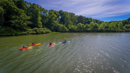 three people in kayaks on a river with trees at Fota Island Hotel and Spa in Fota Island
