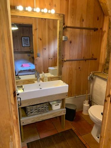 une salle de bain avec un lavabo, des toilettes et un miroir dans l'établissement Bergerie de Chiouleben, cœur forêt, proche Contis, à Lit-et-Mixe