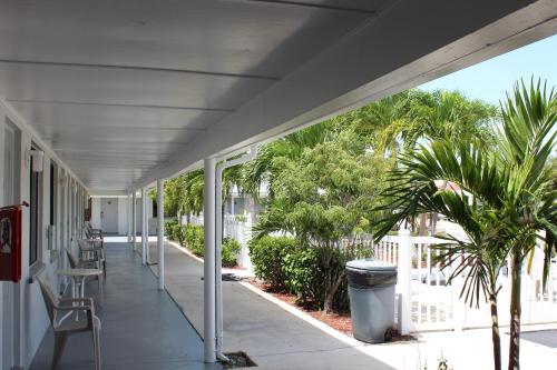an empty porch with chairs and palm trees at Economy Inn in West Palm Beach