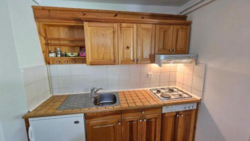 RakovecにあるApartma Jurček Roglaの小さなキッチン(木製キャビネット、シンク付)