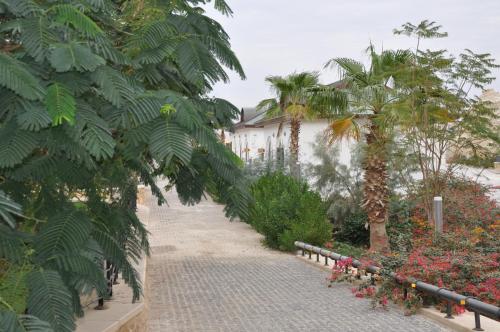 a brick walkway with palm trees and a white building at Russian Pilgrim Residence in Sowayma