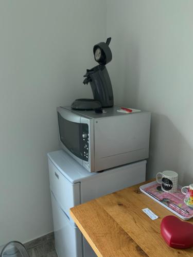 a microwave oven sitting on top of a refrigerator at Saint Barthélémy Family Besnard in Saint-Barthélemy-dʼAnjou