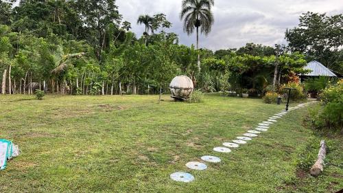 a field with a row of frisbees on the grass at Camping La Bucara in Cabeza de Vaca