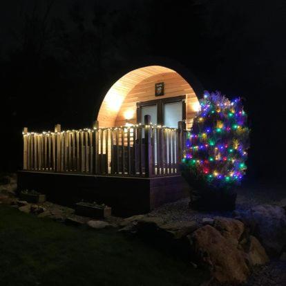 a christmas tree with lights in front of a house at Daviot Luxury Pods in Inverness