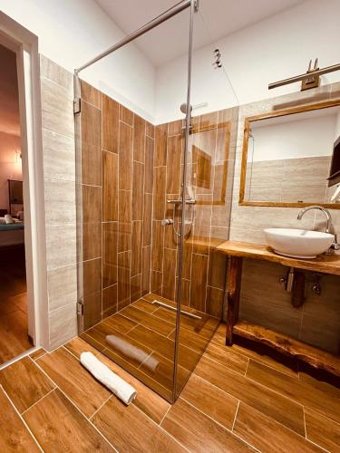 a bathroom with a shower and a sink at Wild Rose in Borşa