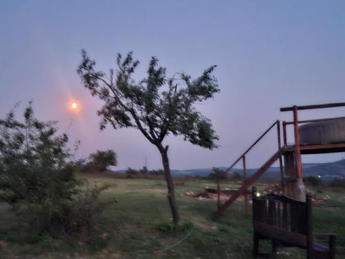 a tree in the middle of a field with a staircase at Apartmani Feliks in Resavica