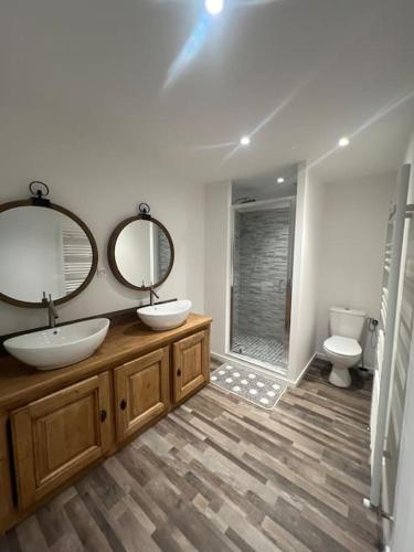 une salle de bain avec deux lavabos et un WC et des miroirs dans l'établissement Maison Atypique vue panoramique, à Moras-en-Valloire