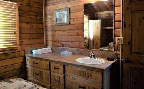 a bathroom with a sink and a mirror at Cabin 18 in Almont