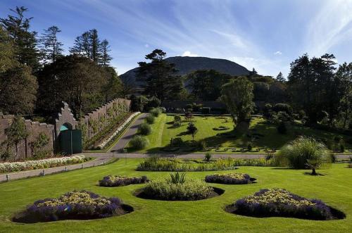 a garden with bushes and flowers in the grass at Atlantic Sunset in Aughrus More