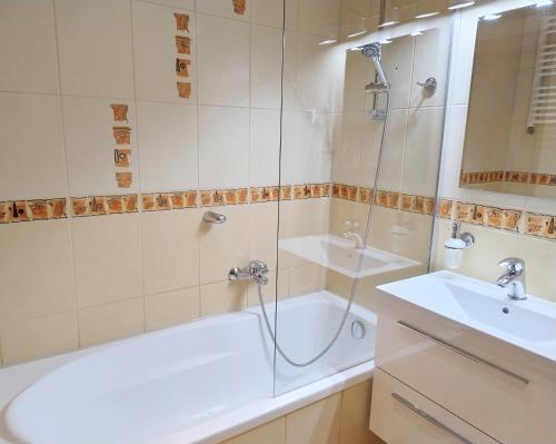 Koupelna v ubytování Apartament Tektoniczna Ślichowice, Targi