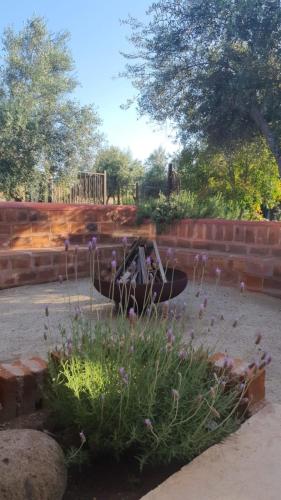 a garden with a statue of a plane in a yard at Estancia Los Amigos Valle de Guadalupe in Valle de Guadalupe