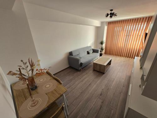 a living room with a couch and a table at Cip Apartament Tazlaului in Bacău