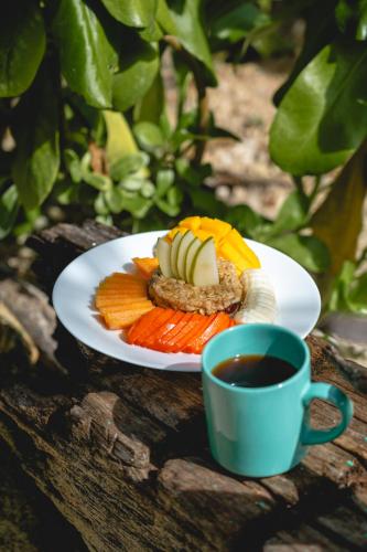 ein Teller mit Essen und eine Tasse Kaffee auf einem Tisch in der Unterkunft Casa Mia El Cuyo Eco Beach Boutique Hotel in El Cuyo