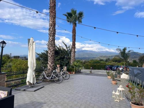 a patio with two bikes and a umbrella and palm trees at La Pomelia B&b Sofia in Trappitello