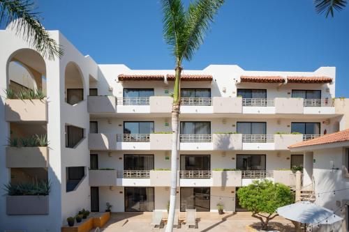 an apartment building with a palm tree in front of it at Hotel Santa Fe Los Cabos by Villa Group in Cabo San Lucas