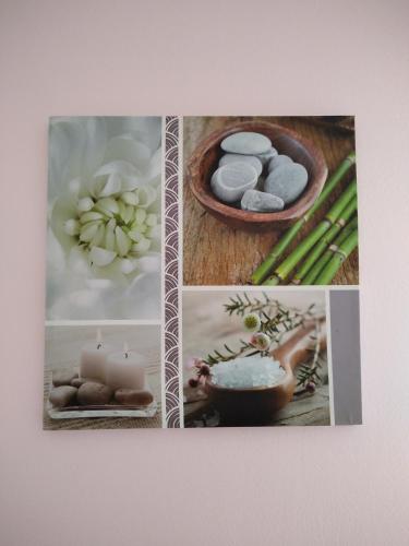 Photo de la galerie de l'établissement Agaïs ou Nathur - Evènements Circuit Le Mans, à Rouillon