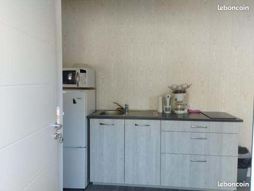 a kitchen with a sink and a white refrigerator at L'Eden in Doussard