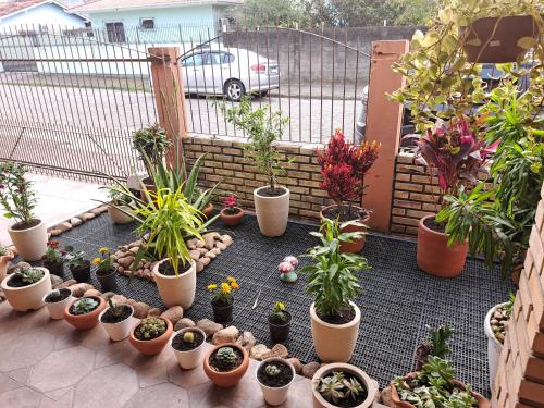 a bunch of potted plants sitting on a balcony at Aeropouso Pousada Executiva in Florianópolis