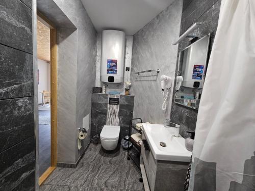 a bathroom with a toilet and a sink and a shower at Elva Majutus - Puhkemaja - Hot Tub l Sauna l BBQ in Elva