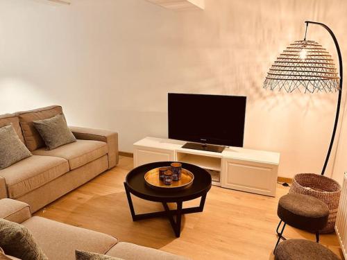 TV a/nebo společenská místnost v ubytování Gîte chez Naisse