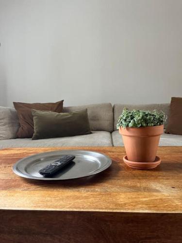 a remote control on a table with a plate and a plant at Kaunis huoneisto keskellä Vuokattia in Vuokatti